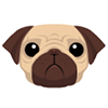 Pug